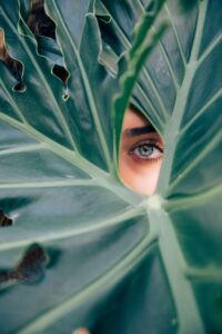 Woman's eye peering through large jungle leaf