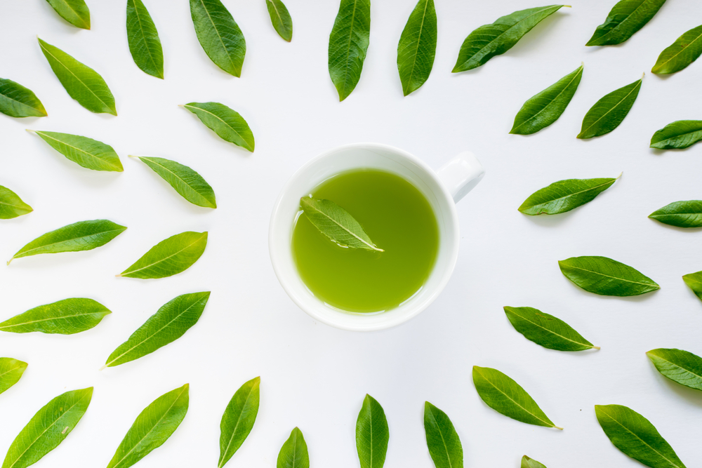 Green tea leaves circling a cup of green CBD infused tea